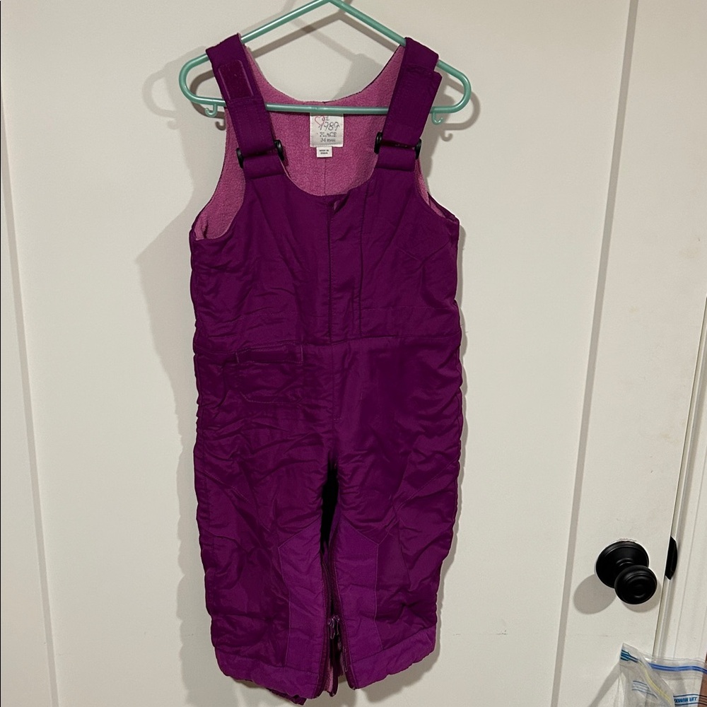 Place Pink and Purple Snow Bib